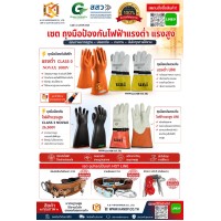 ถุงมือหนังและถุงมือสวมทับ แรงต่ำ แรงสูง NOVAX (Made in Malaysia) + ถุงมือหนังสวมทับแรงต่ำ UNI (Made in Thailand) + ชุดปีนเสาไฟฟ้า